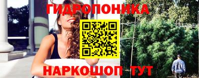 стаф Гусев