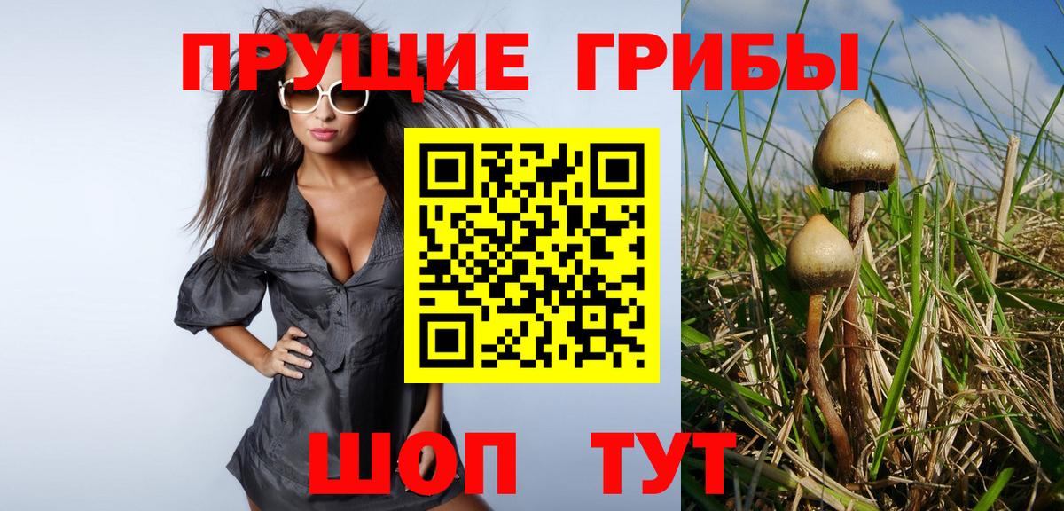 Нижний Новгород  Псилоцибиновые грибы мухоморы  где купить наркоту  Вход с VPN 